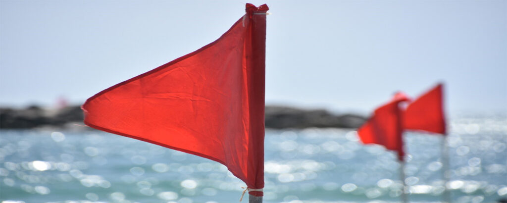 Red flags that would trigger an audit